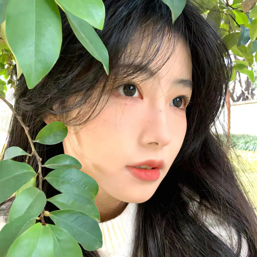 总统的危机